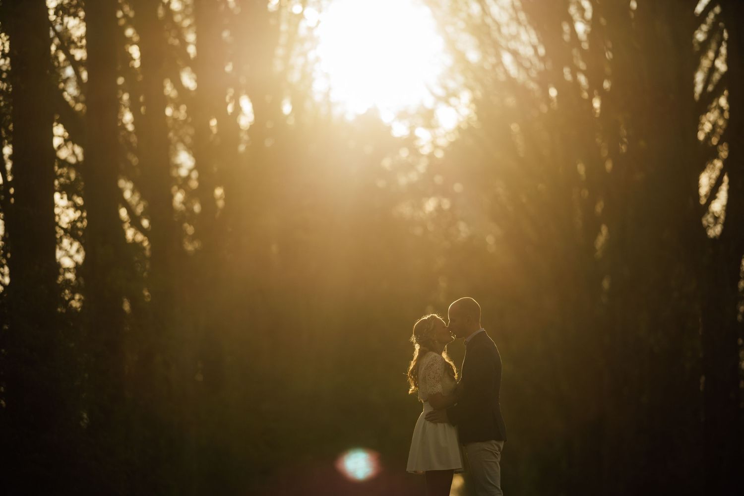A silhouetted couple walks hand in hand through a misty forest path at sunset with golden light streaming through trees.