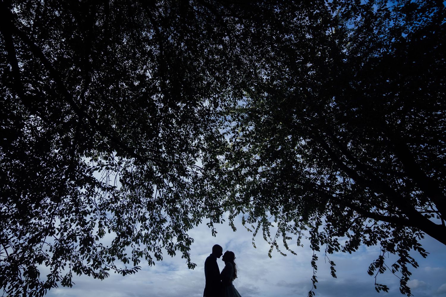 A silhouetted couple shares an intimate moment under a tree canopy against a dark blue evening sky.