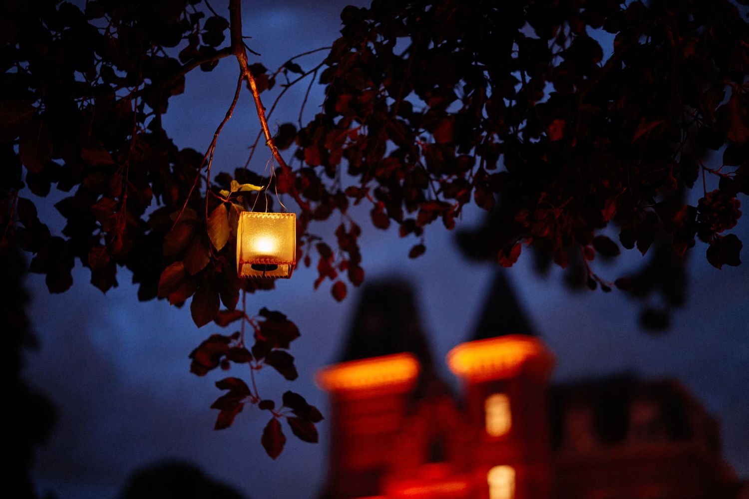 A glowing lantern hangs among autumn leaves at twilight with a red-lit building silhouetted in the background.
