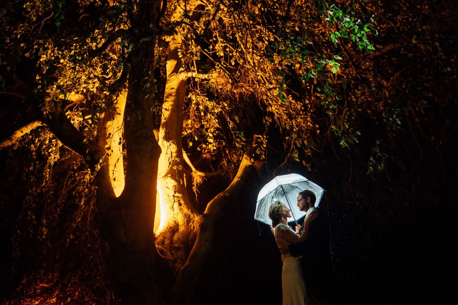 A series of illuminated lanterns and decorative lights create a magical nighttime atmosphere in a garden setting.