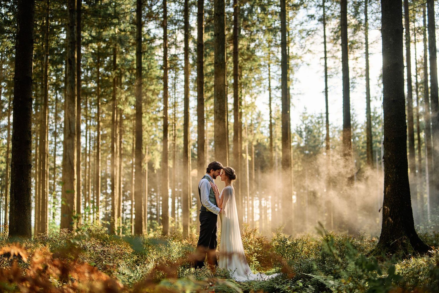 A couple shares a romantic moment in a misty forest with sunlight streaming through tall evergreen trees.