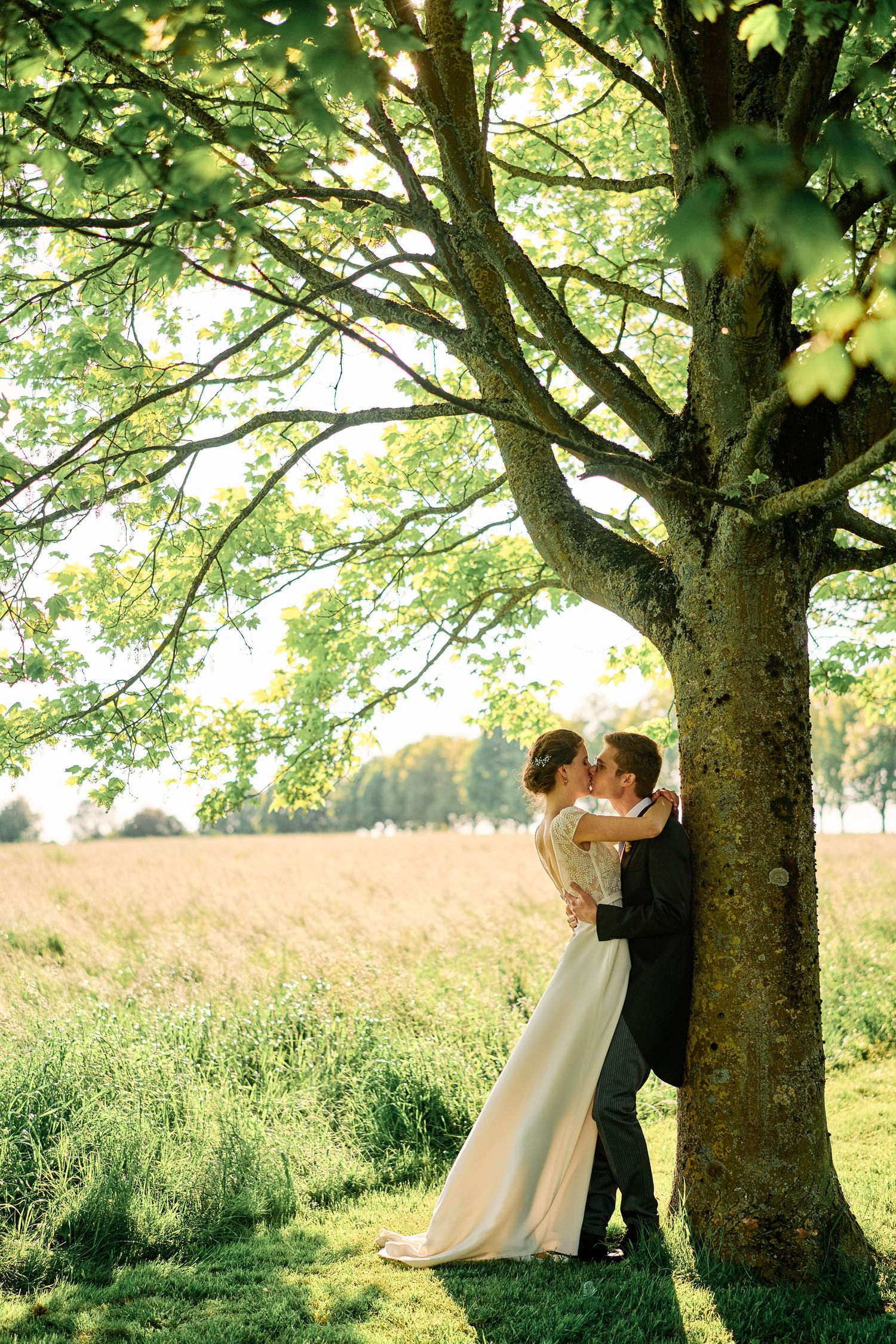 A romantic couple shares tender moments under a large tree in a sunny meadow during a summer afternoon.