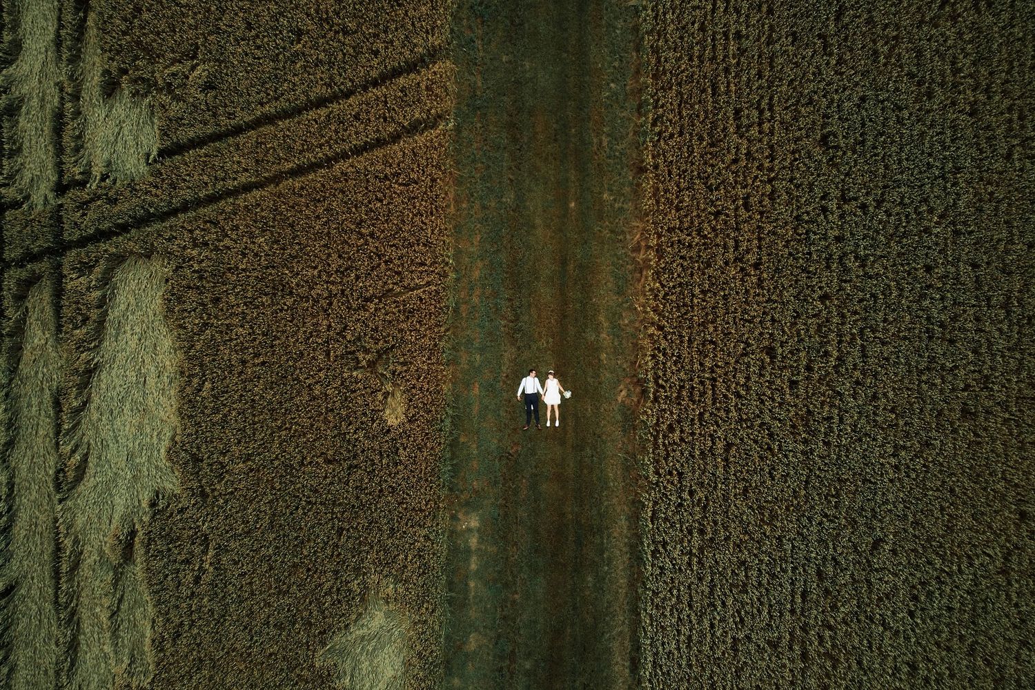 Aerial view of a small white aircraft flying over dark agricultural fields at night.