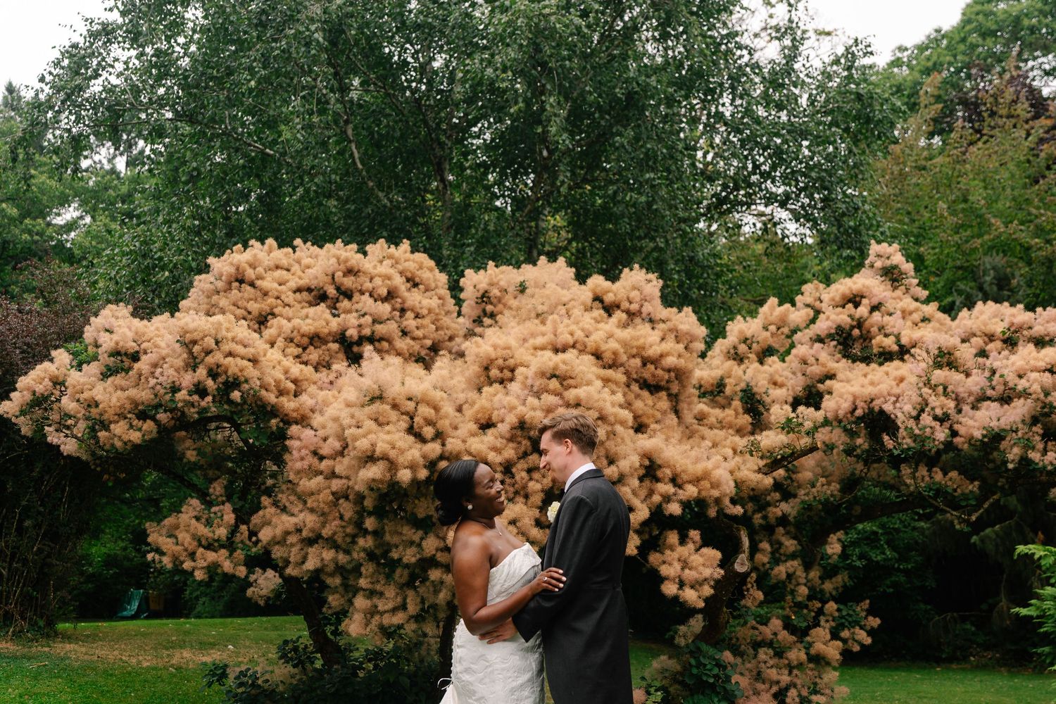 Couple embraces in front of blooming cherry blossom trees in a romantic garden setting.