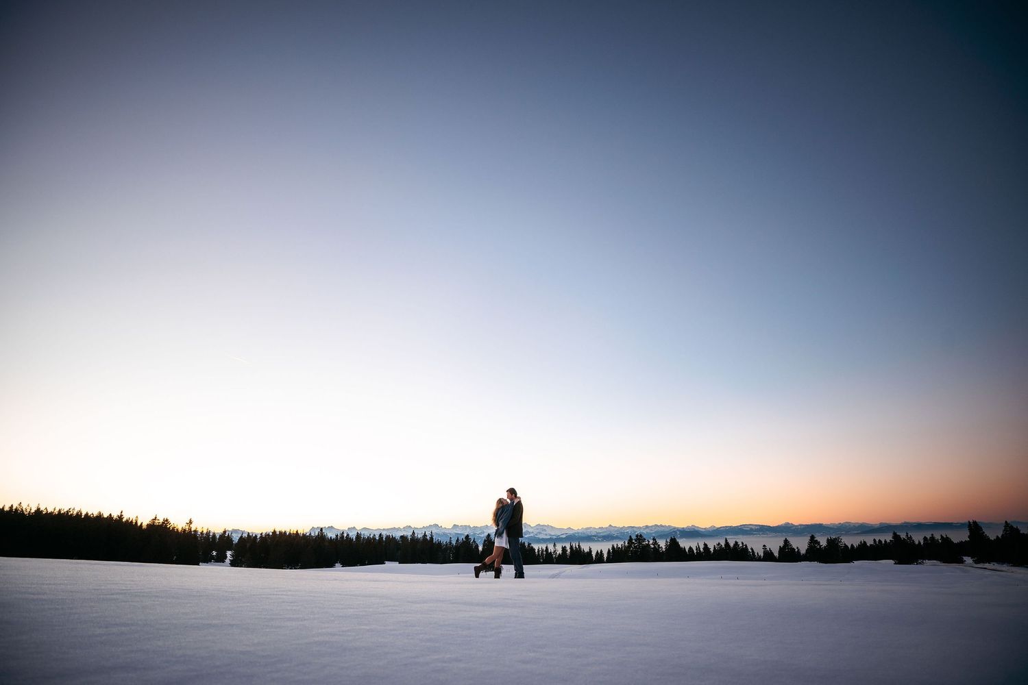 A stunning series of panoramic mountain landscapes at sunset with silhouetted trees and dramatic skies.