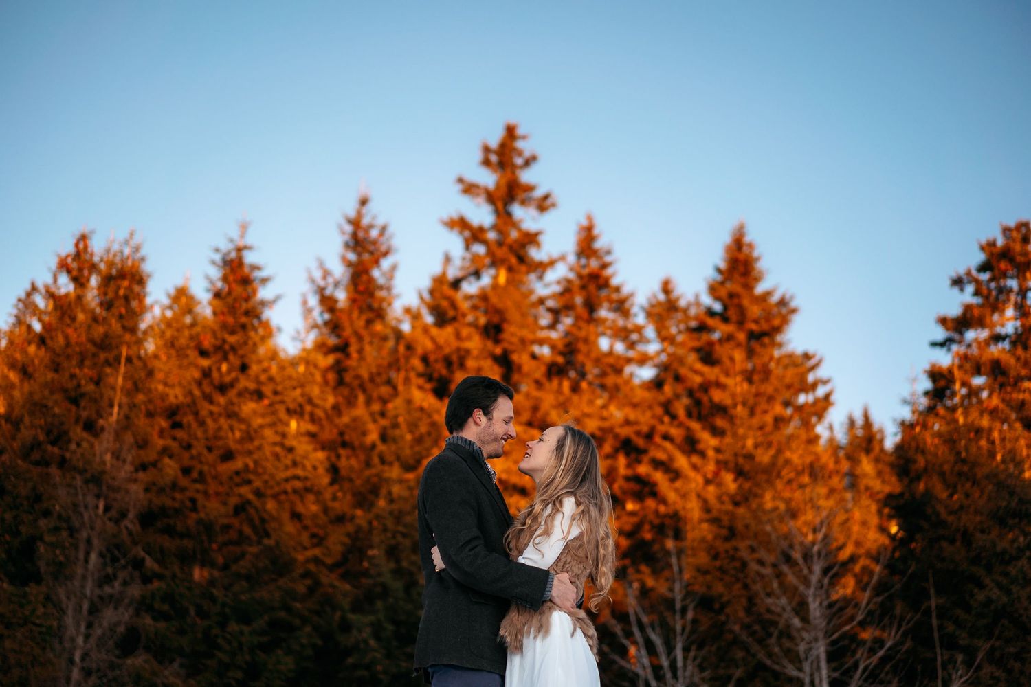 A couple stands silhouetted against a backdrop of tall evergreen trees glowing orange in the sunset light.