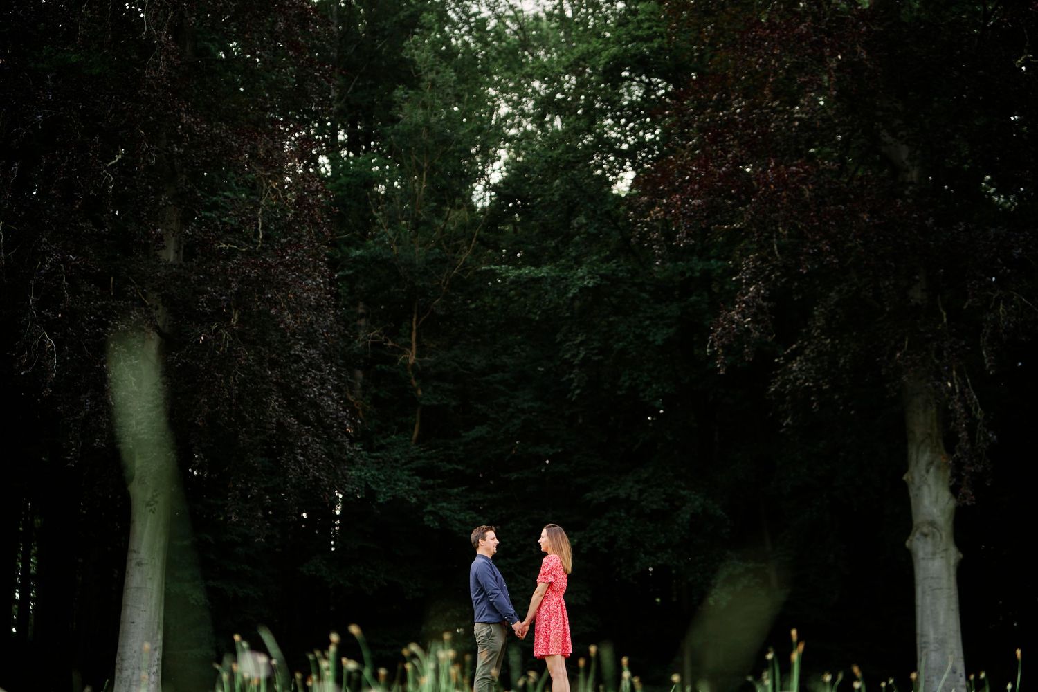 A couple stands in silhouette against a dark forest backdrop with tall trees and greenery.
