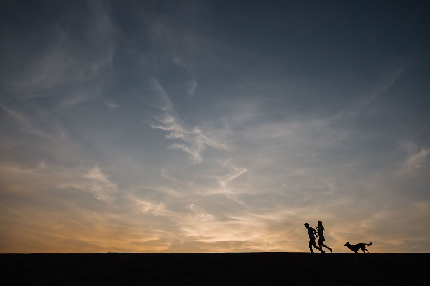 Silhouettes of people and a dog walking against a dramatic sunset sky with wispy clouds.