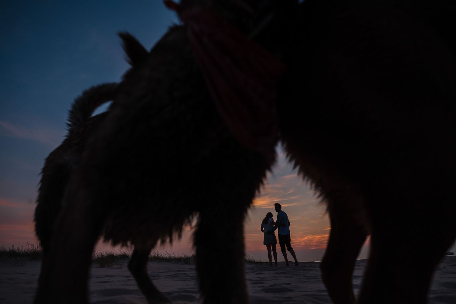 Silhouettes of palm trees and people against a vibrant orange and purple sunset sky at a tropical beach.