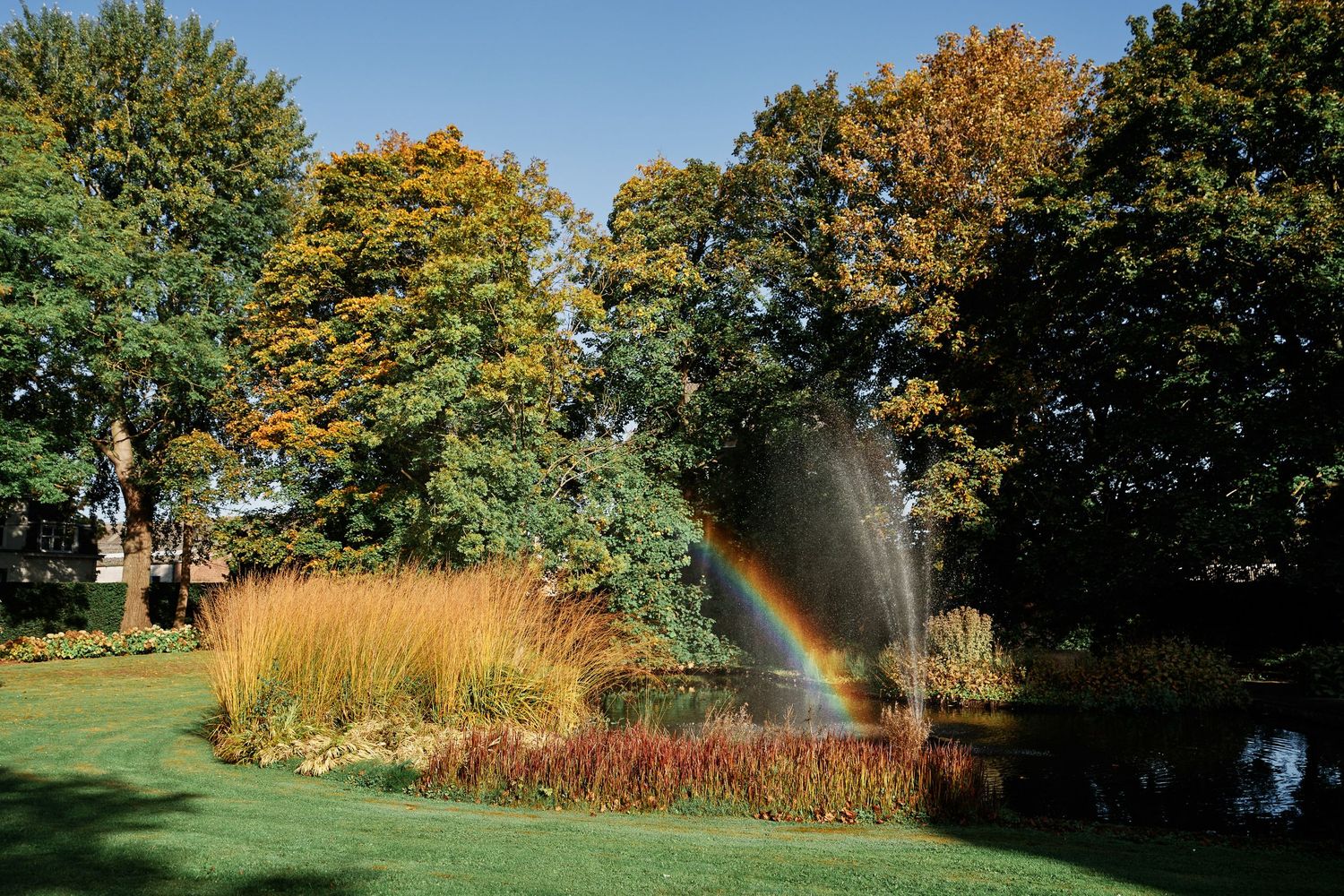 A panoramic view of a garden landscape with autumn trees and ornamental grasses in golden sunlight.