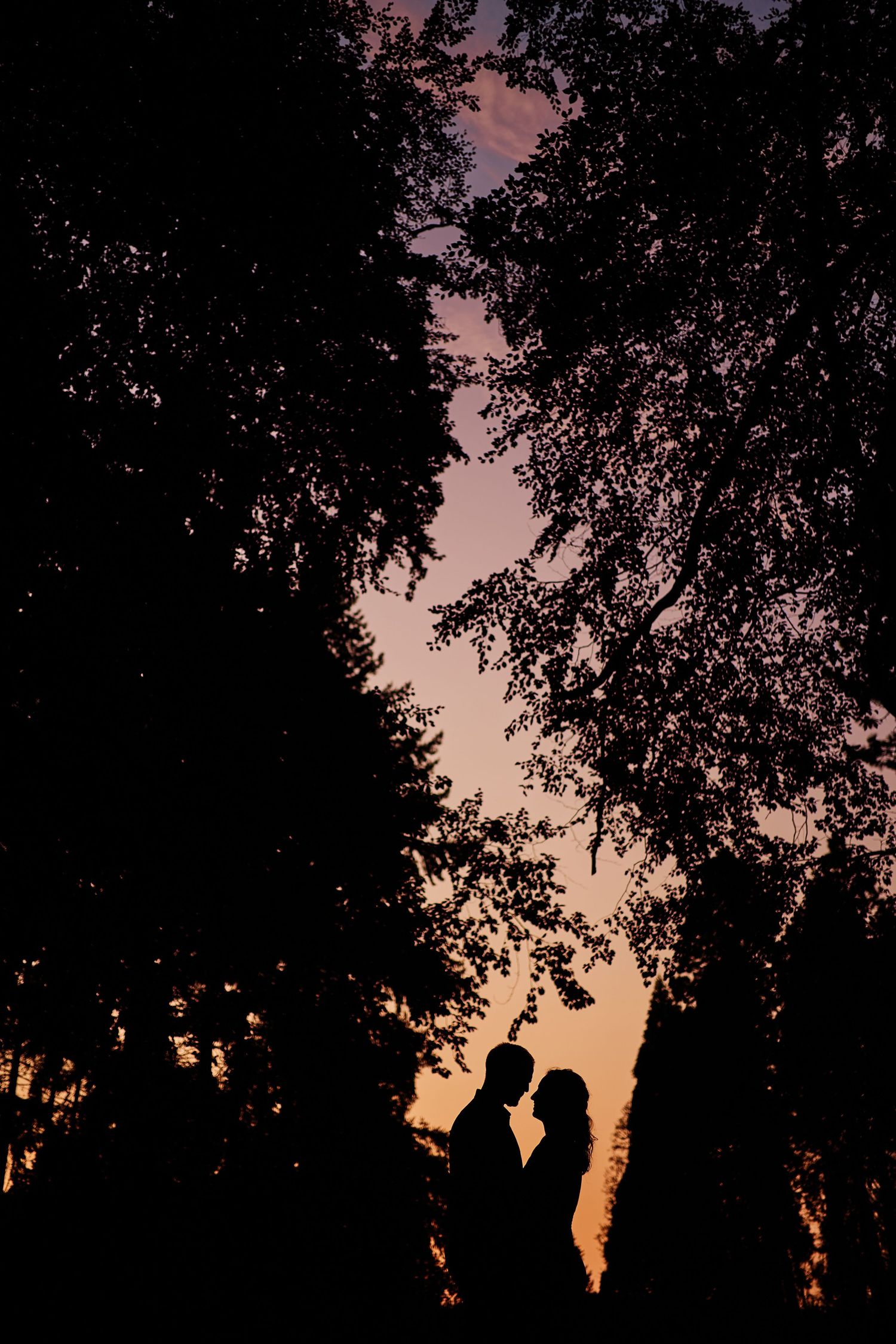 Silhouettes of trees against a dusky pink and orange sunset sky create a dramatic natural backdrop.