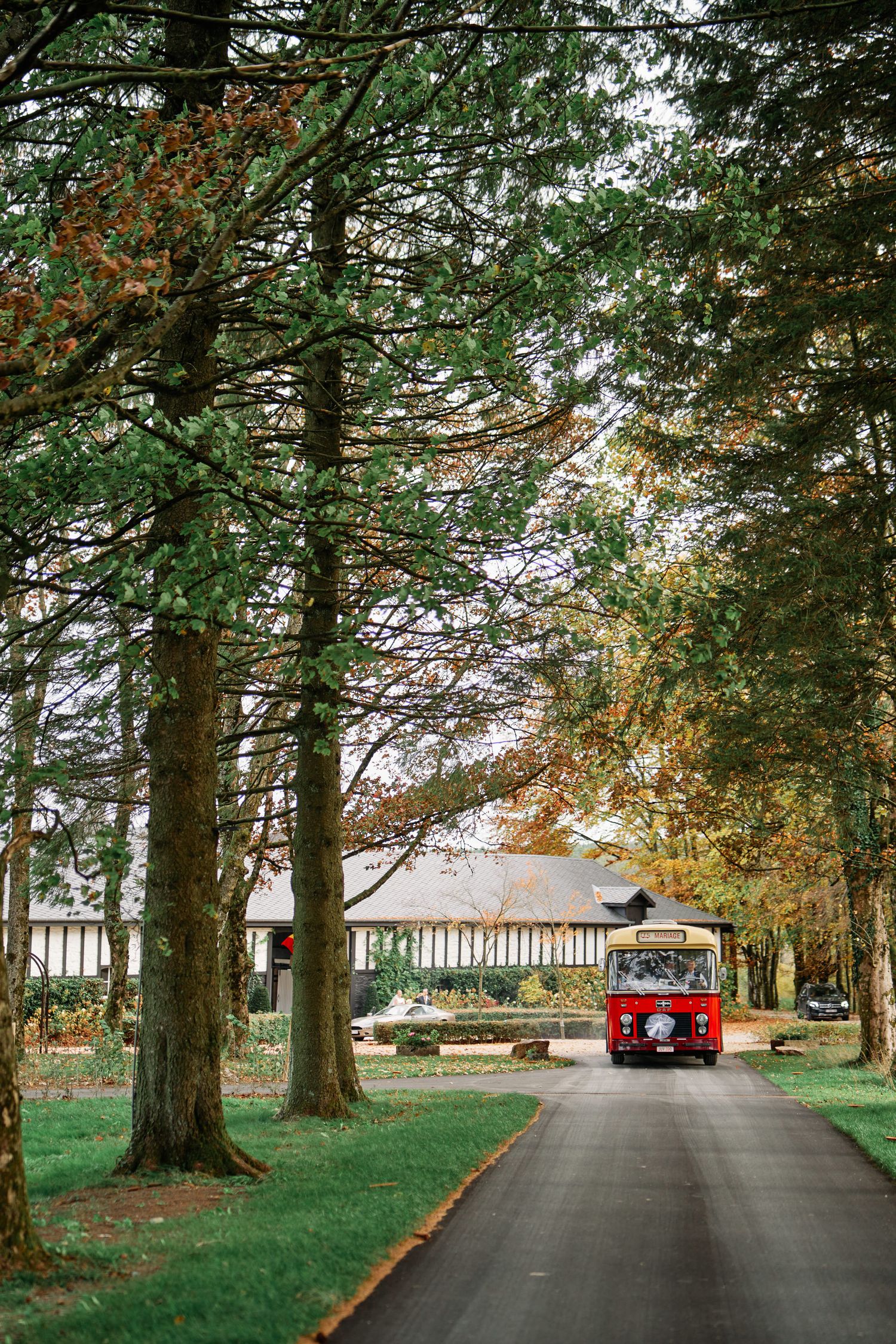 Tree-lined driveway with vintage red car parked under evergreen trees on a scenic countryside estate.