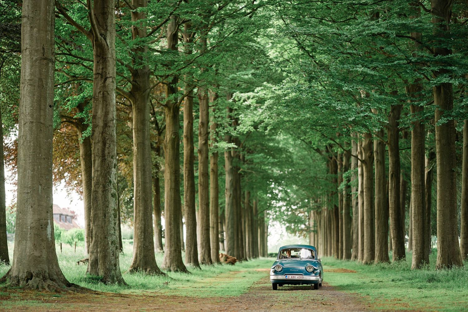 A blue sports car drives down a tree-lined avenue with tall green trees creating a natural tunnel effect.