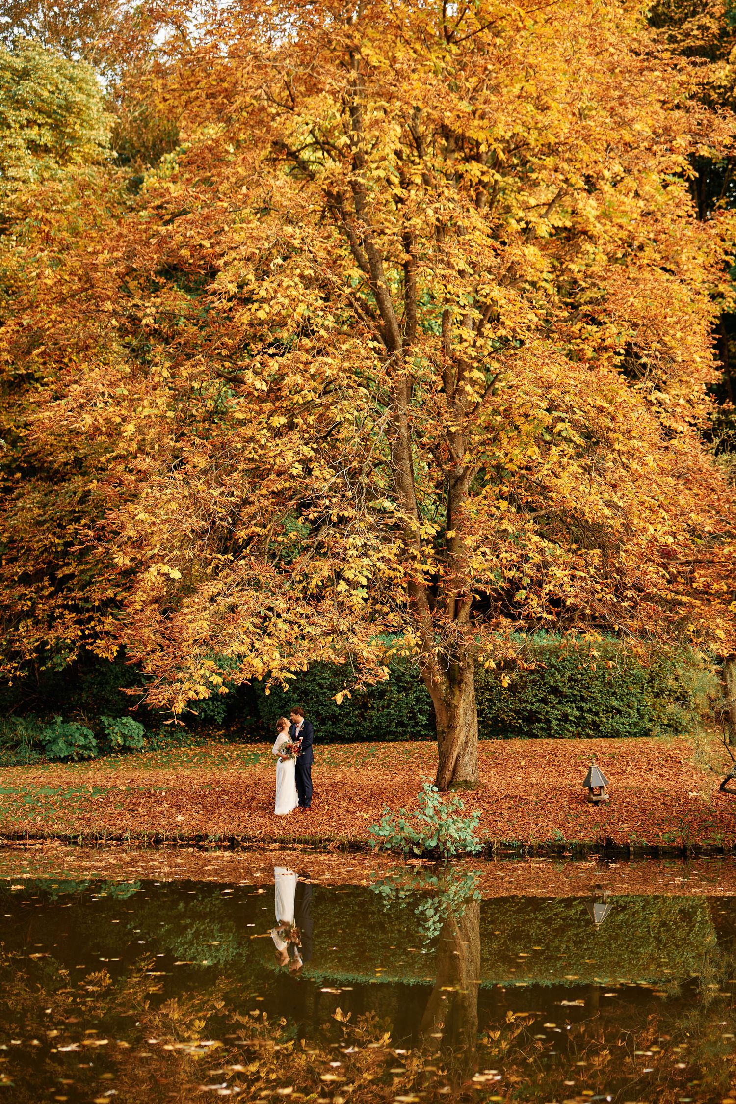 Autumn trees with golden foliage reflect in a tranquil pond as people enjoy a peaceful afternoon by the water's edge.