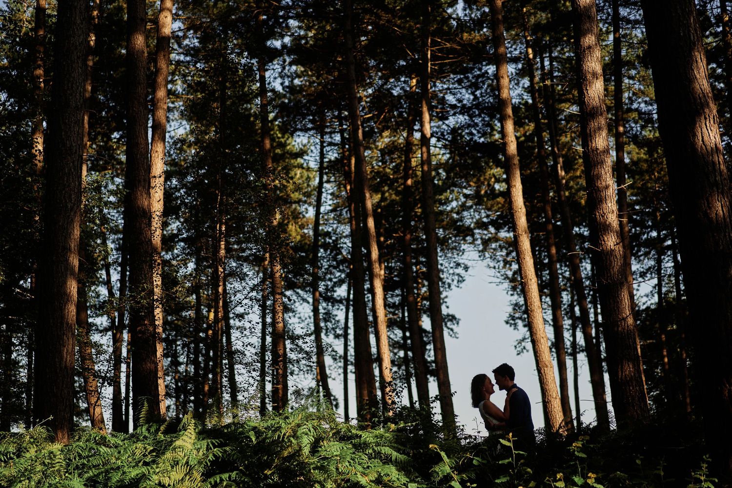 Silhouetted couple standing between tall pine trees in a romantic forest setting during sunset.