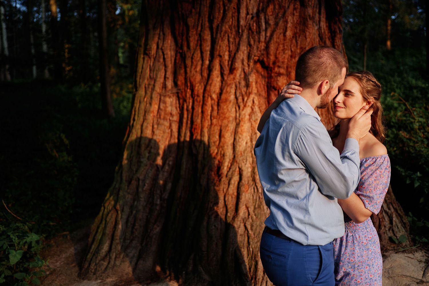 A romantic couple embraces against a large redwood tree trunk in a forest setting during golden hour.
