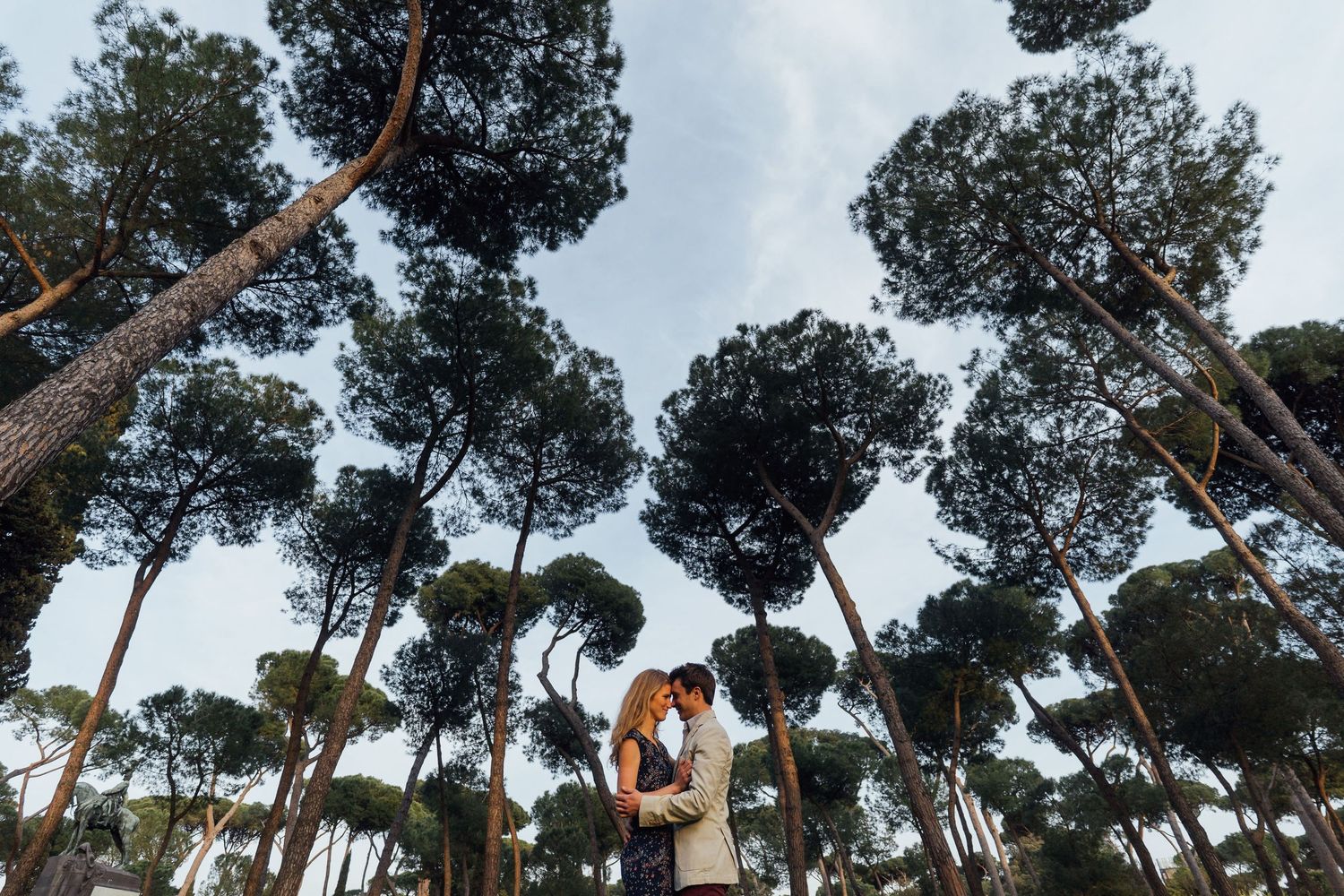 Tall pine trees reaching upwards against a cloudy sky create a dramatic natural canopy perspective.