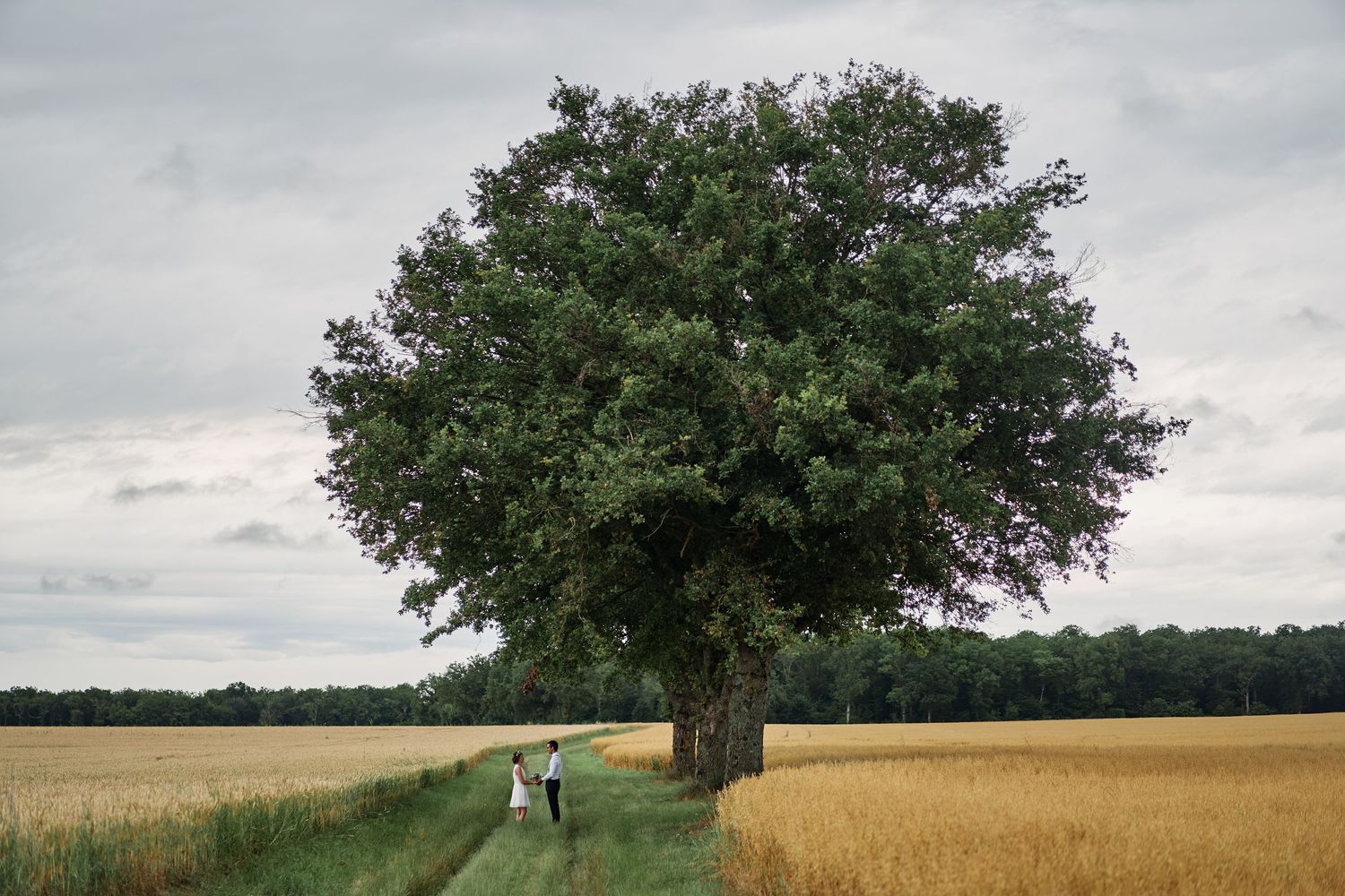 Two people walk along a grassy path between wheat fields beneath a large solitary tree under cloudy skies.