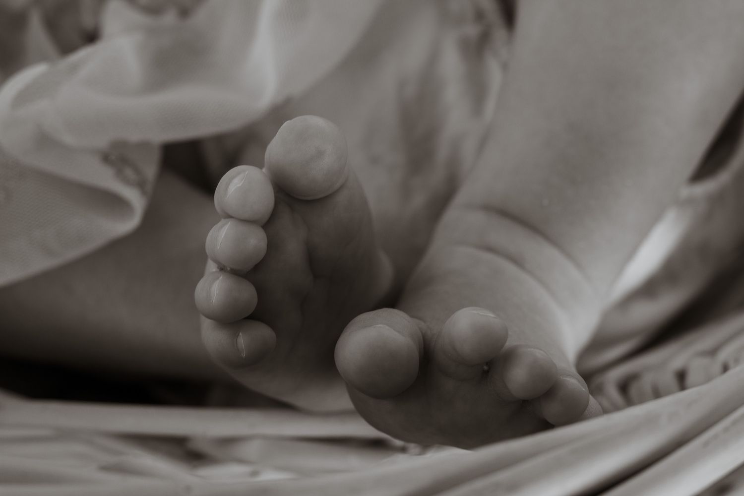 Close-up black and white photo of tiny newborn baby feet resting on soft fabric.
