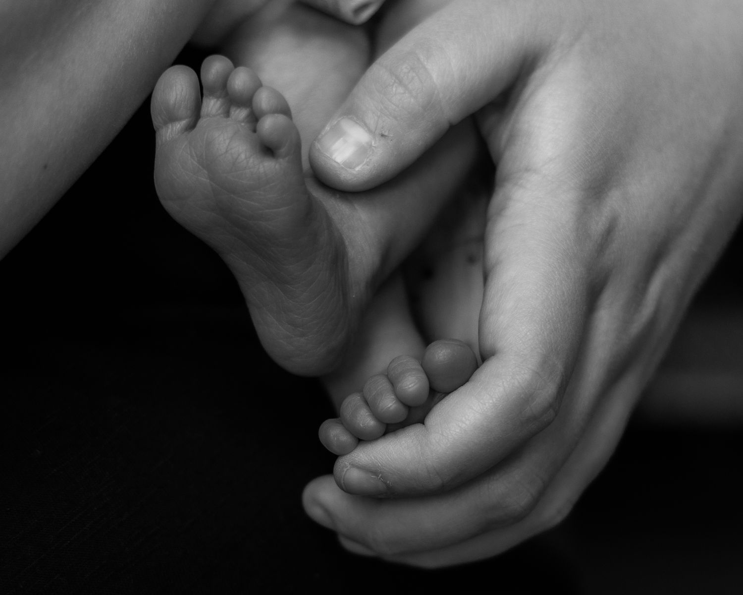 Adult hands gently holding tiny baby feet in black and white artistic photograph.