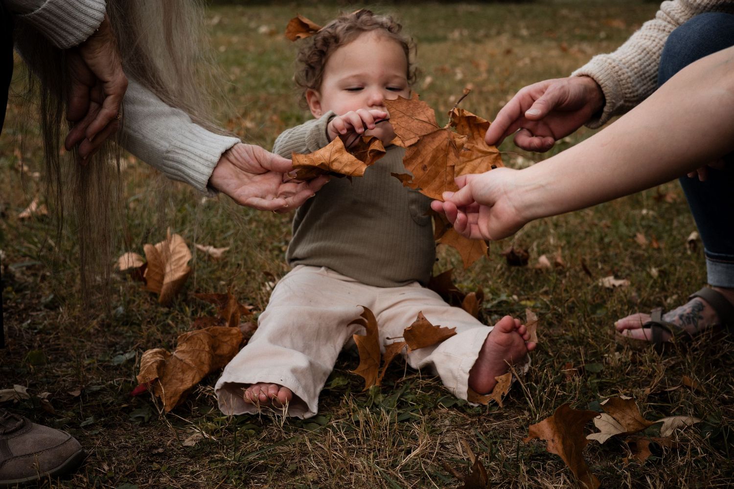 A series of hands collecting and playing with fallen autumn leaves in a grassy outdoor setting.