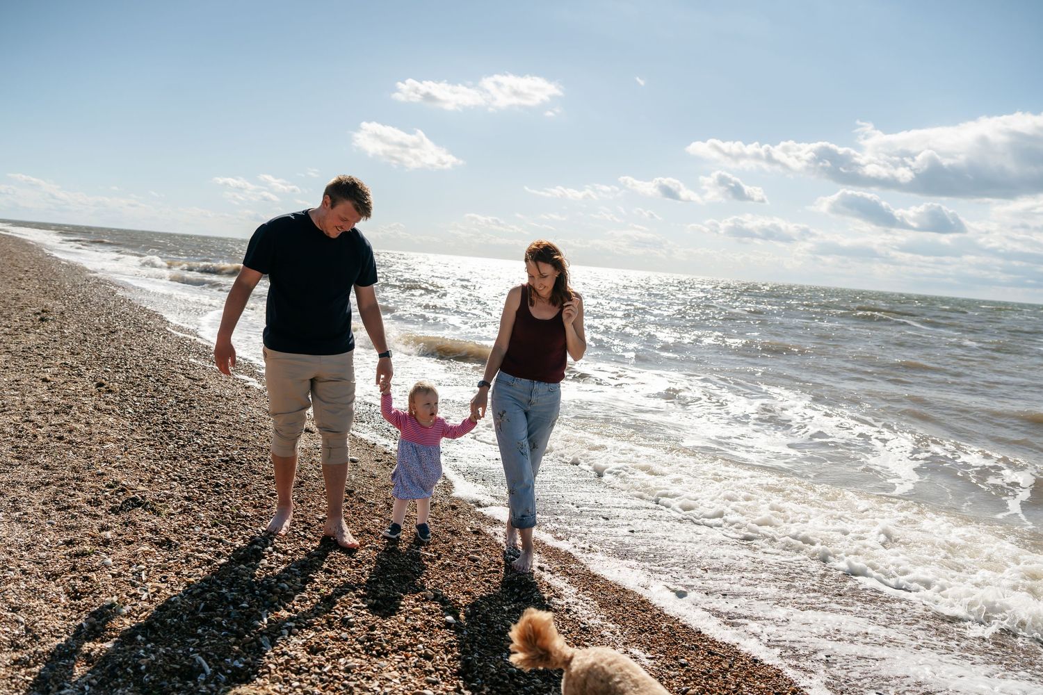 Young family walks along sunny pebble beach holding toddlers hands with golden dog and sparkling ocean waves.