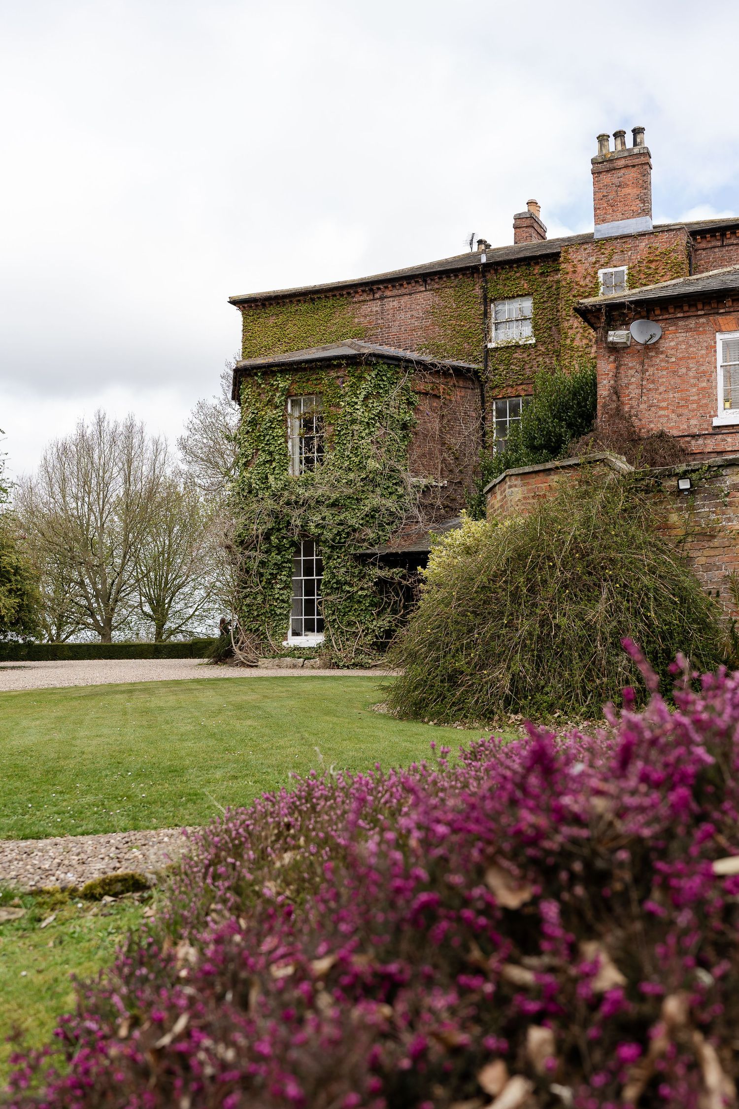 Ivy-covered red brick English manor house with purple heather flowers in foreground on cloudy day.