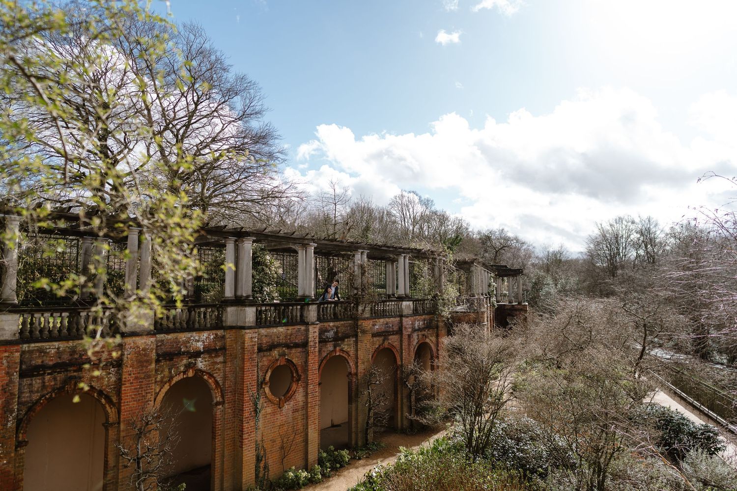 Beautiful trees and flowers over the pergola, love photographing London Hampstead Heath