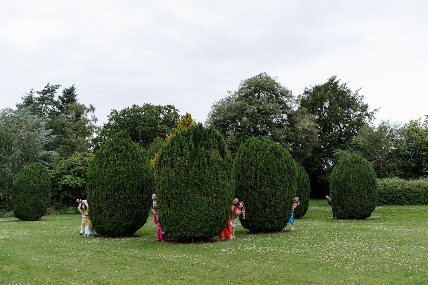 Wedding guests peek playfully from behind tall sculpted topiary trees in garden.