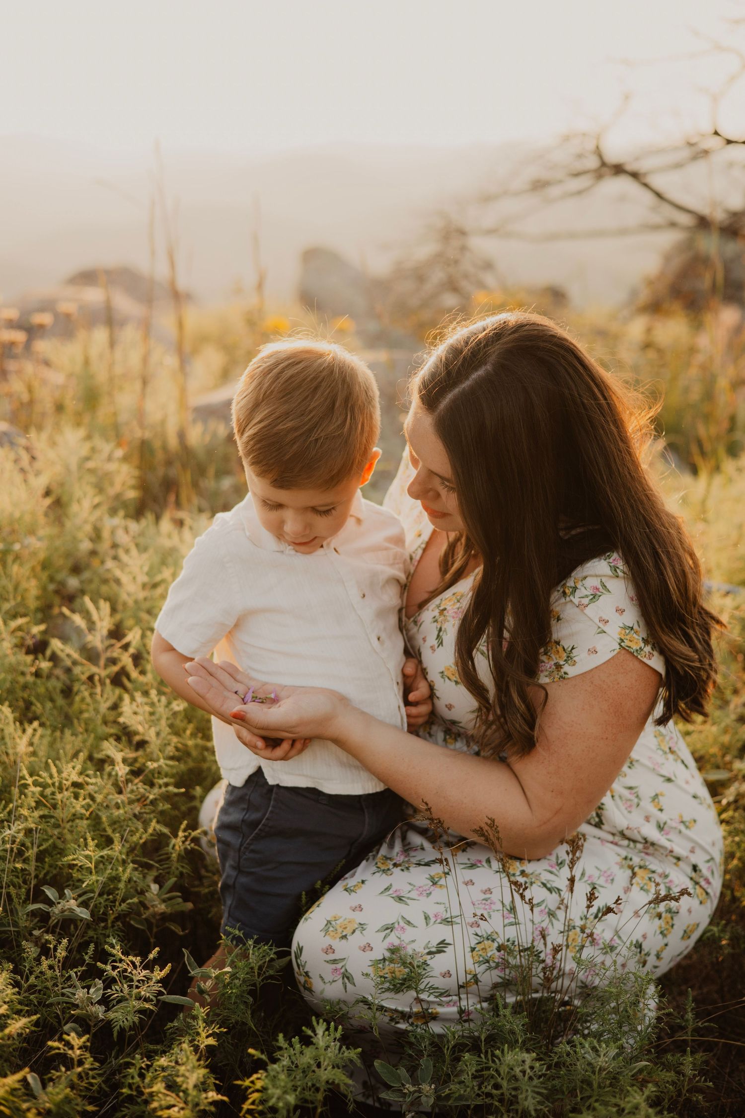 A tender moment between parent and child in a sunlit field with golden wildflowers at sunset.