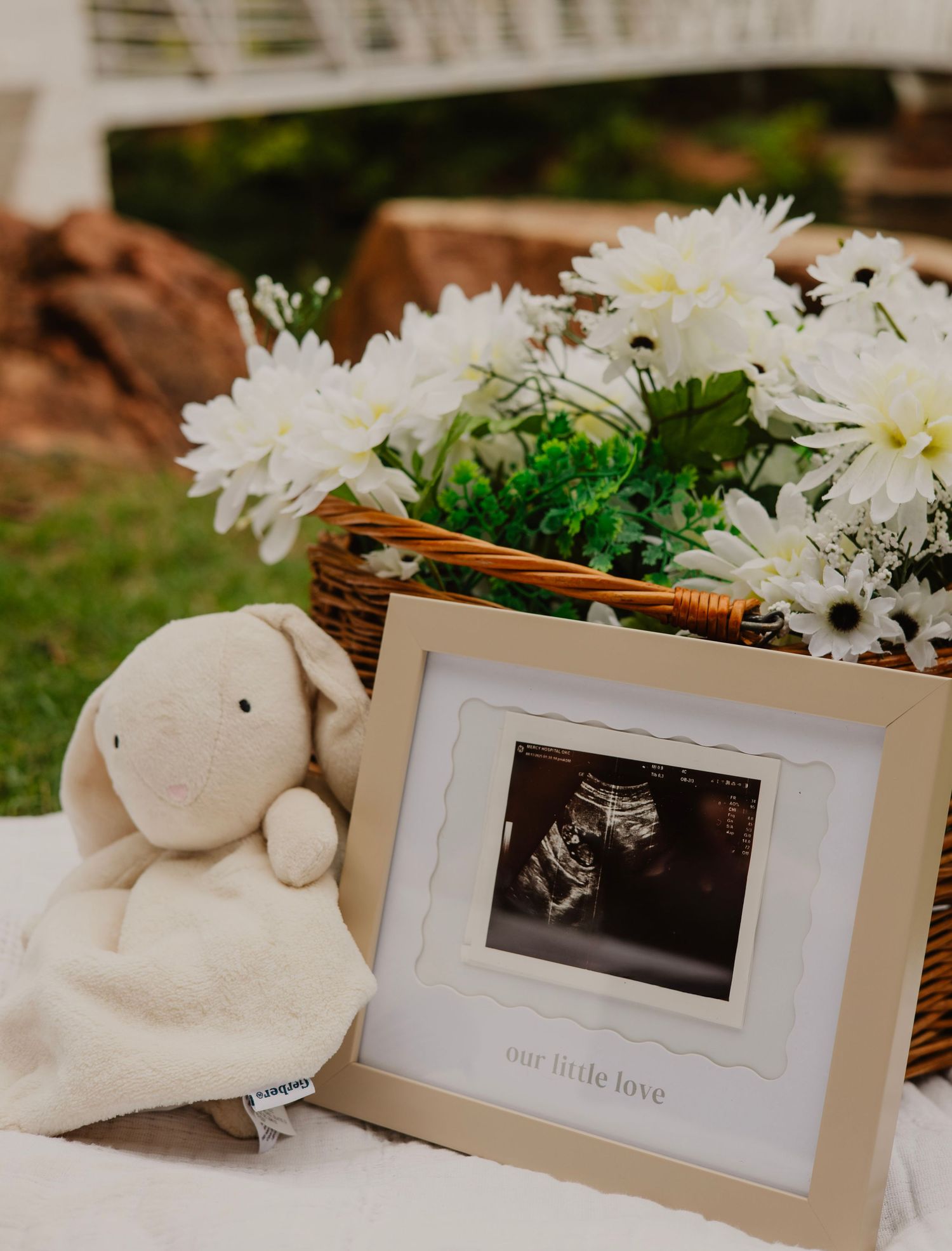 White stuffed bunny and framed ultrasound photo in basket with fresh daisies.