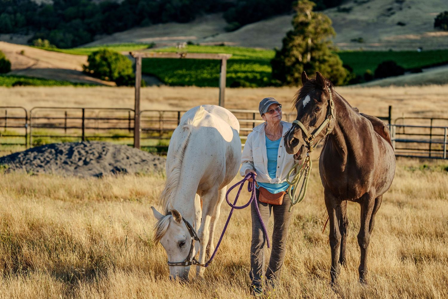 A lady taking an afternoon walk with her black and white horses in her Northern California ranch located in Sonoma.