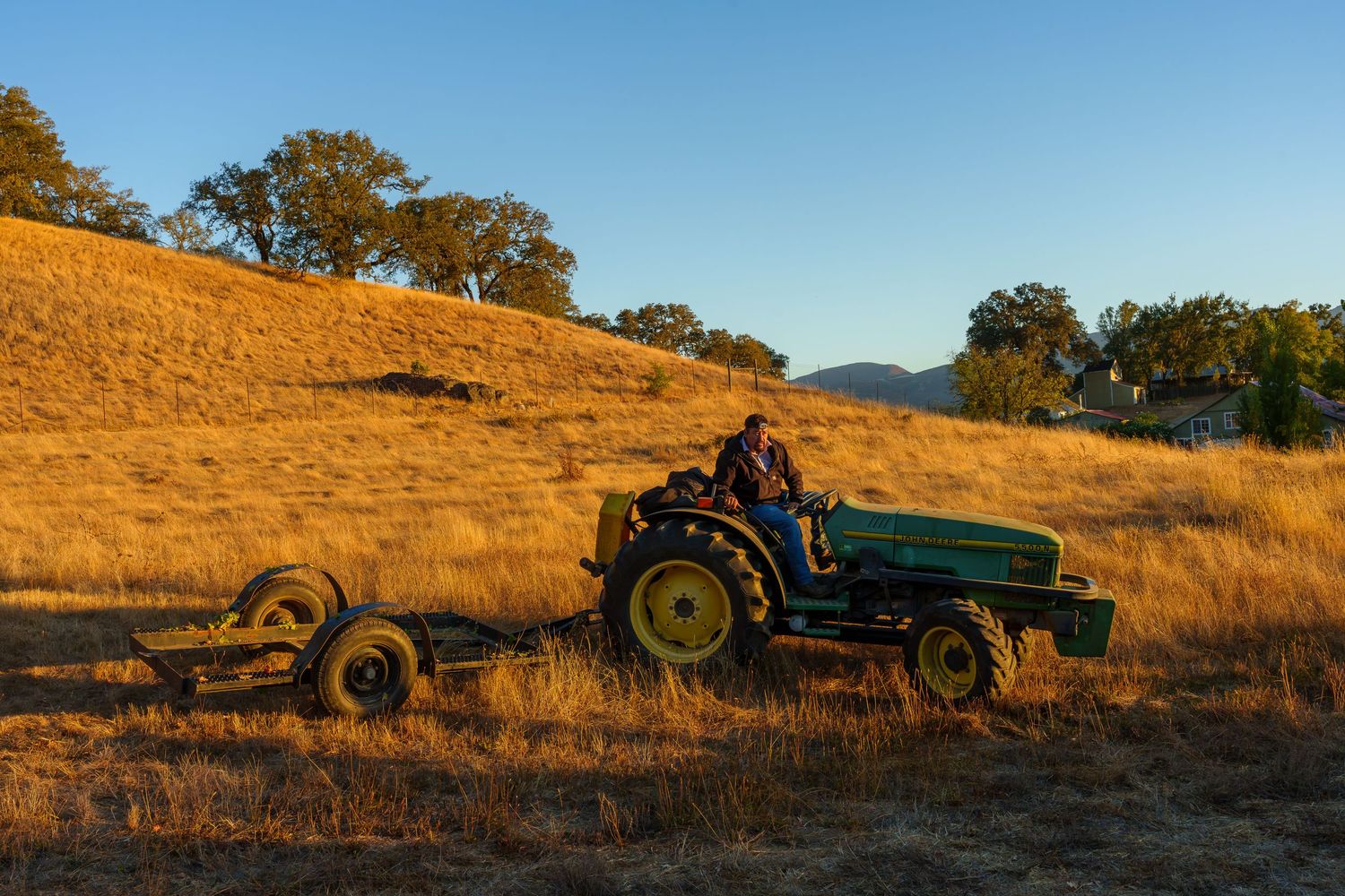 Vineyard manager driving a truck during the Duncan Peak cabernet sauvignon harvest in Hopland, Mendocino county.