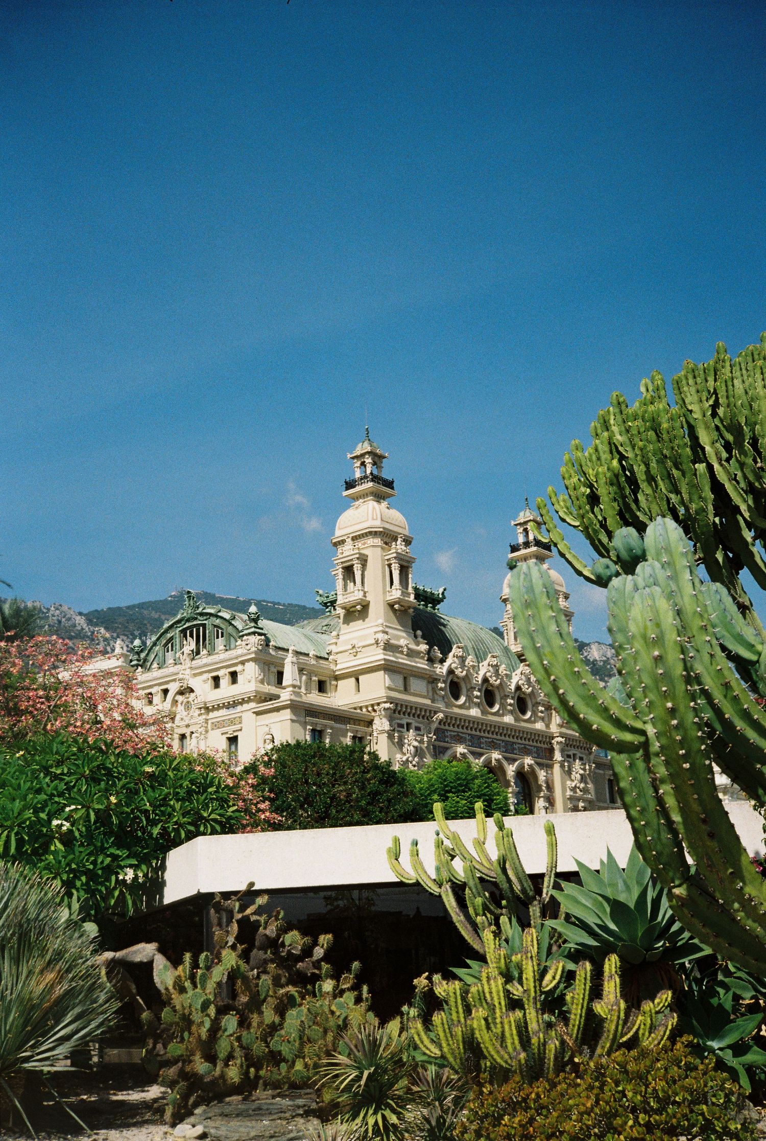 Ornate Belle Epoque building with large cacti in the foreground under a bright blue sky in Monaco.