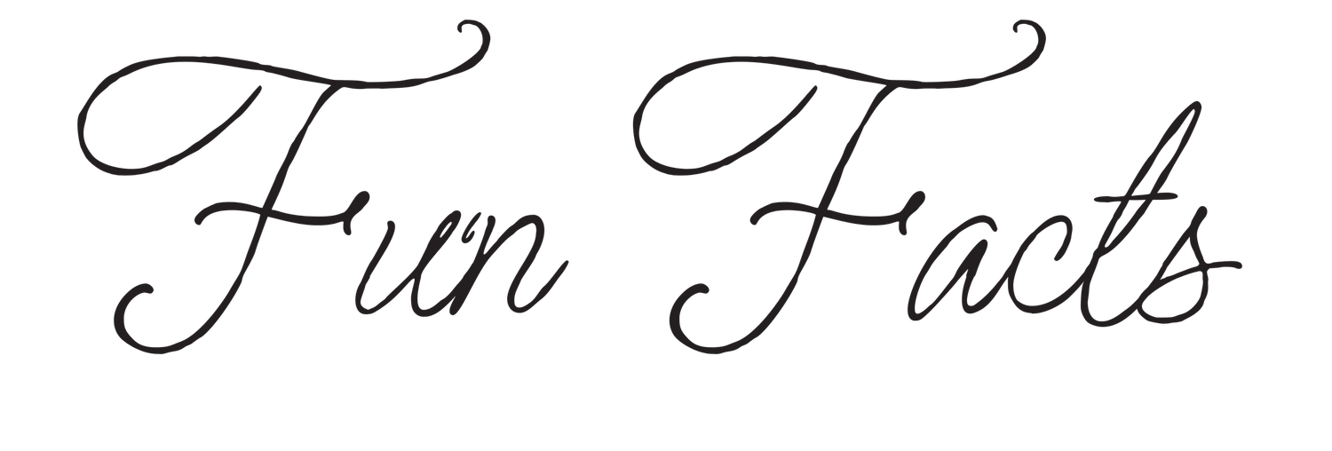 Elegant cursive calligraphy script text reading Fun Facts in black on white background.