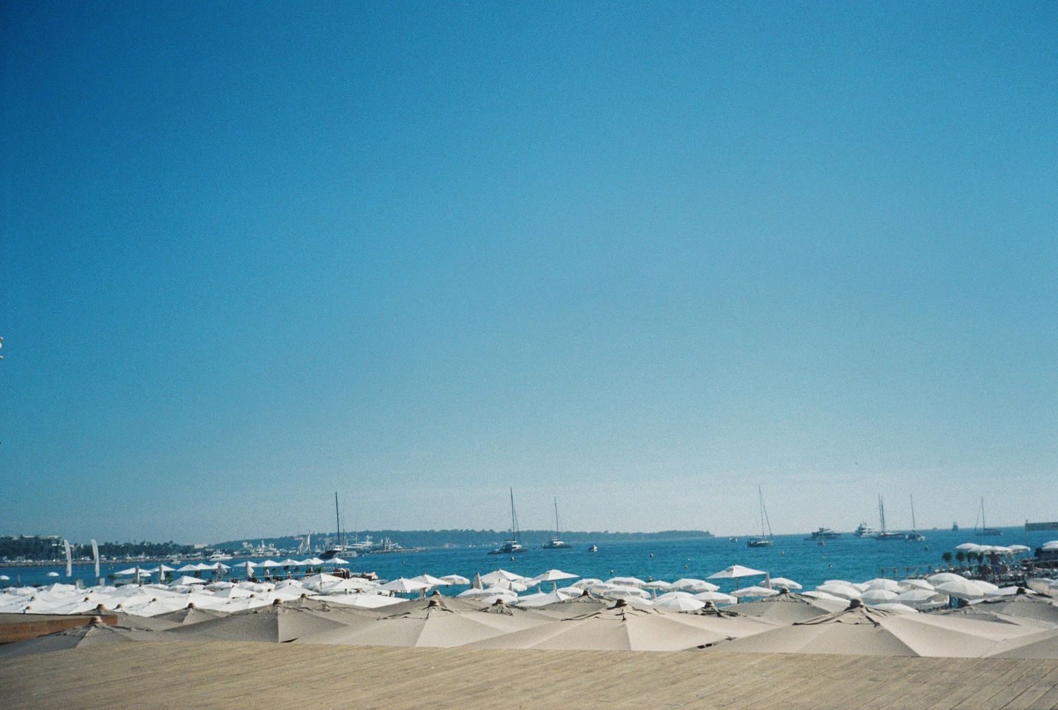 Rows of white beach umbrellas on a sandy shore with sailboats visible on the horizon.