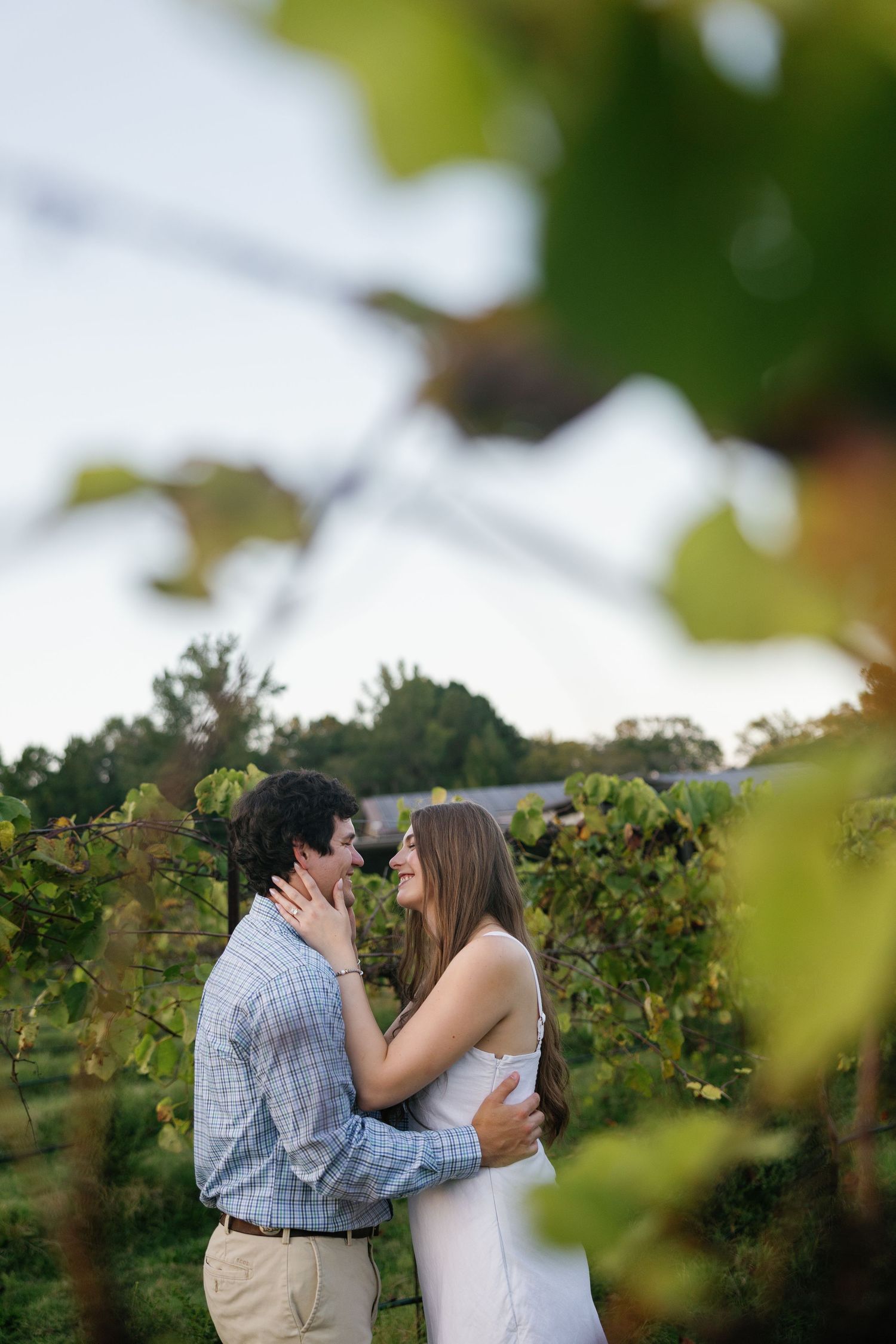 Romantic couple embracing and almost kissing in lush vineyard at dusk.
