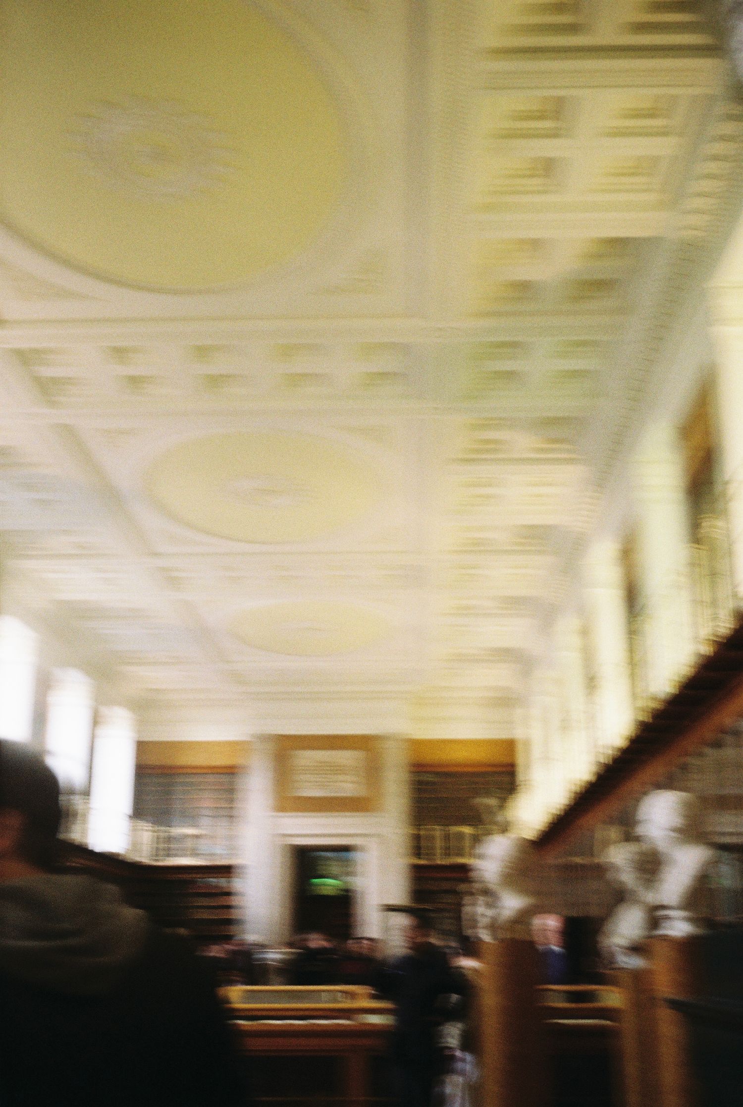 Blurred interior of an ornate library with decorative ceiling and classical busts on display.