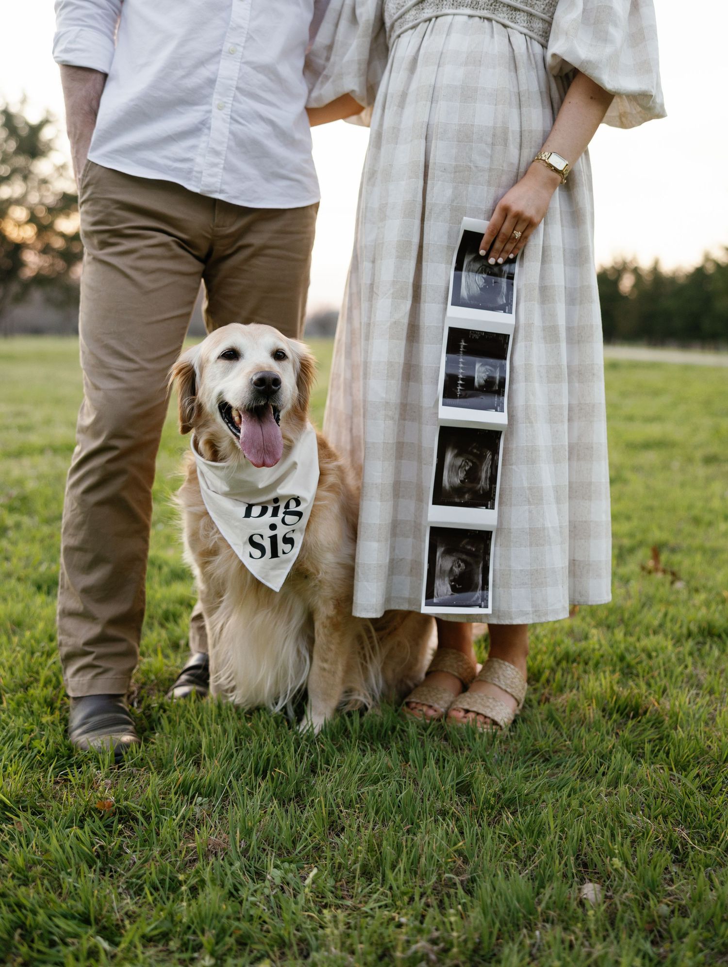 Couple with golden retriever wearing Big Sis bandana holding ultrasound photos in park.