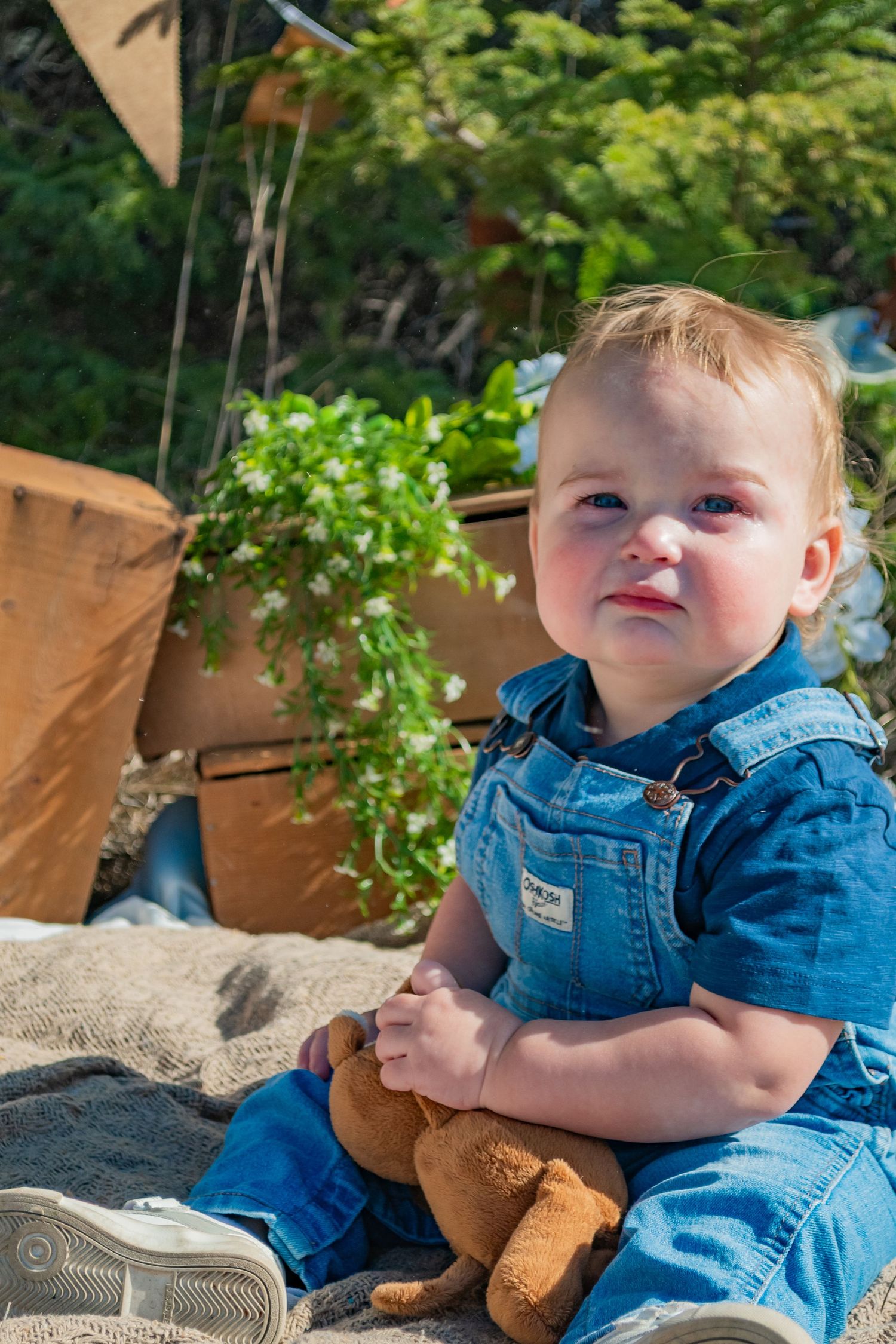 Cute baby in blue denim overalls sitting on a blanket outdoors with lush green plants and wooden boxes behind.