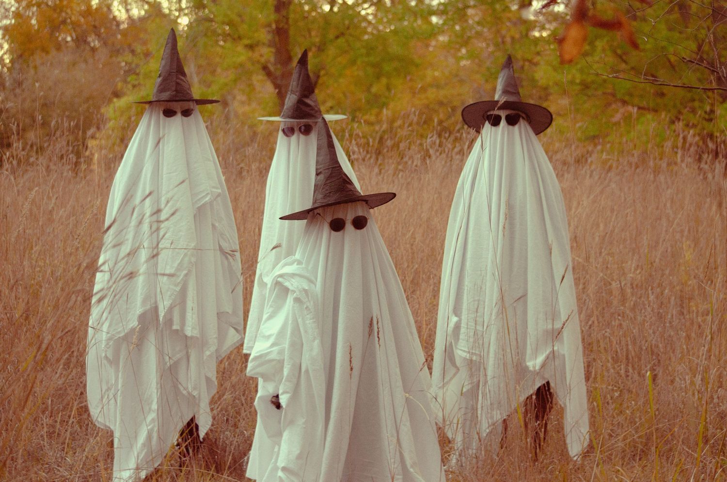 Three ghost costumes wearing witch hats standing in a field, perfect for Halloween.