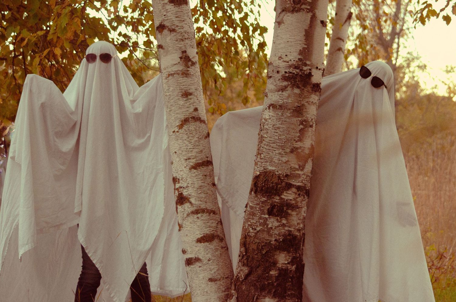 Three people dressed as ghosts in white sheets with sunglasses stand among birch trees in an autumn outdoor setting.