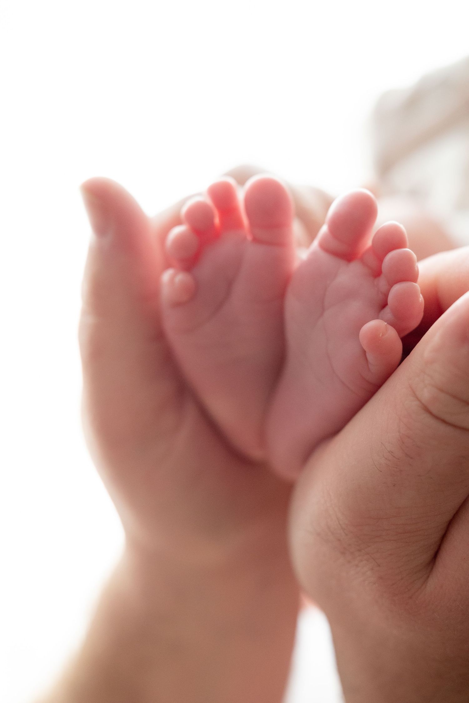 Adult hands gently cradling tiny newborn baby feet, showcasing the delicate bond between parent and child.
