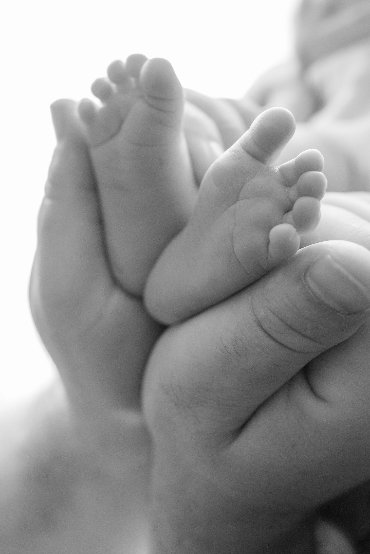 Black and white photo of tiny newborn baby feet cradled gently in an adult's hands.