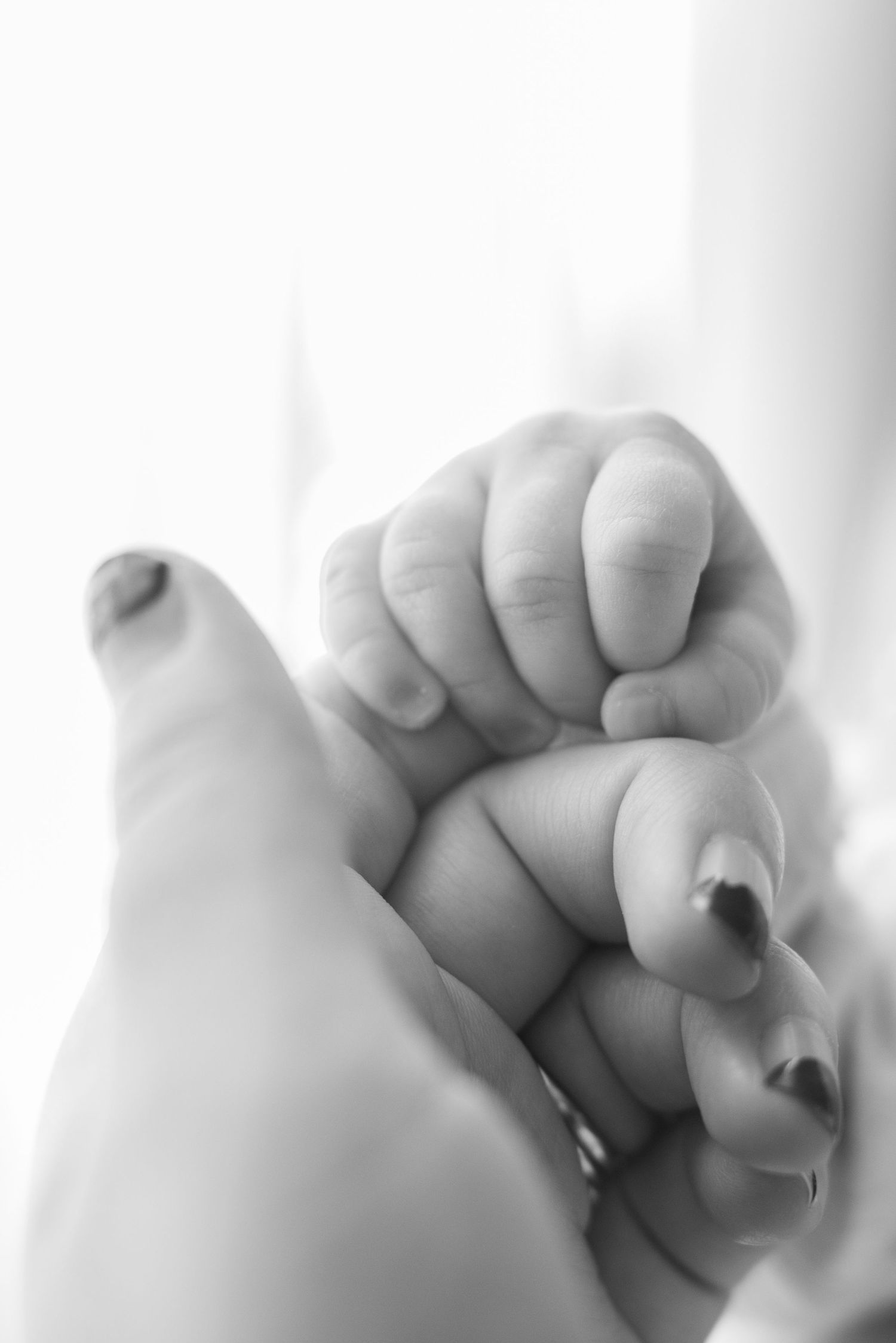 Black and white photo of a newborn baby's tiny hand grasping an adult's finger, symbolizing love and new life.