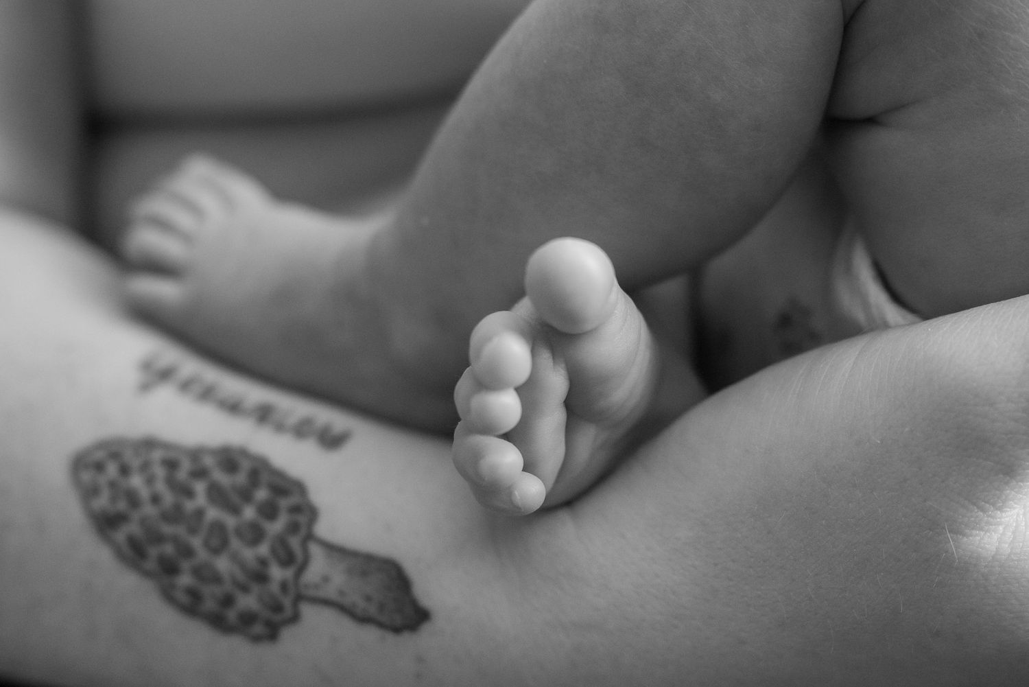 Winnipeg inhome newborn session - family photographer - maternity package
