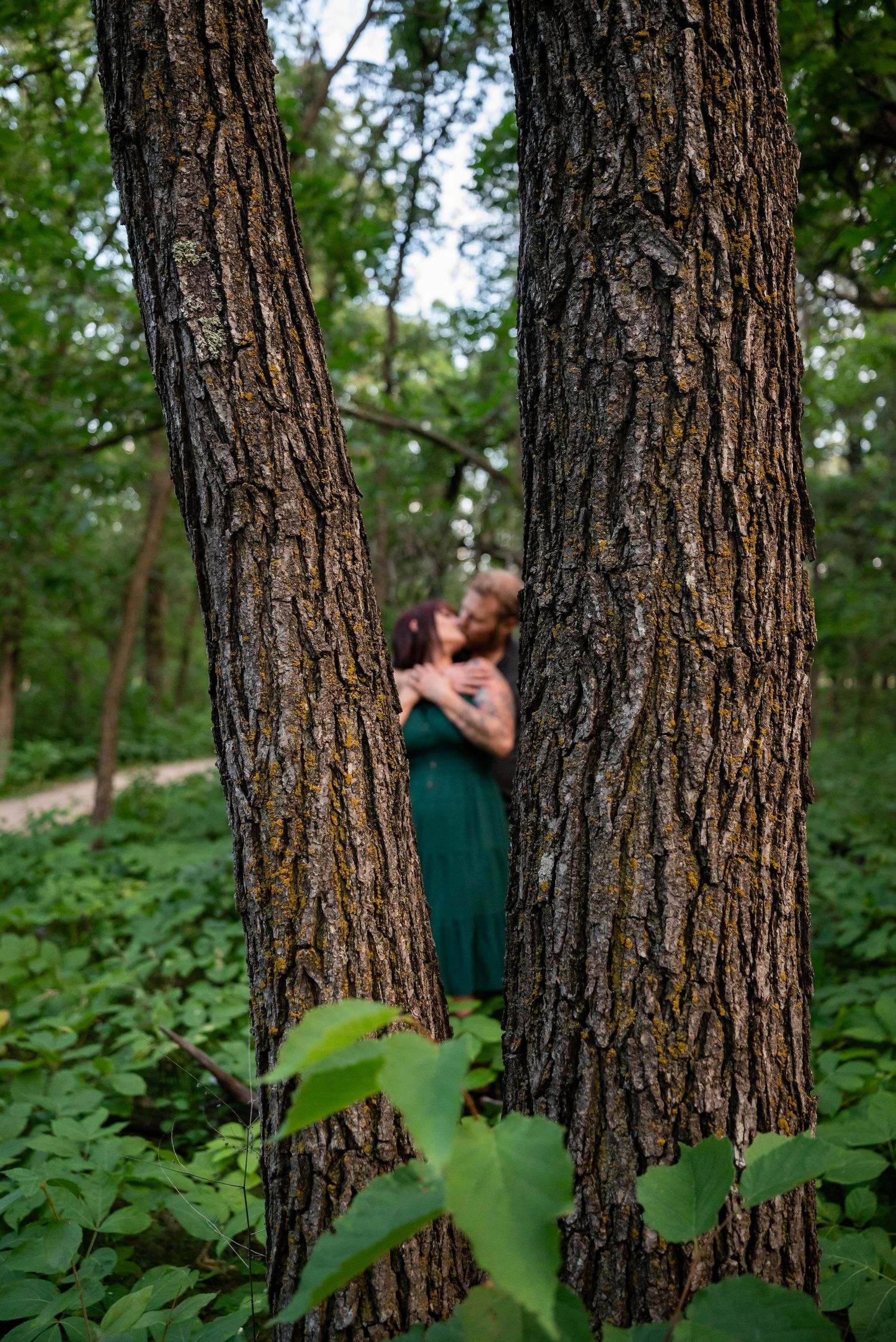 Couple embracing between two large tree trunks in a lush green forest, woman wearing an emerald green dress.
