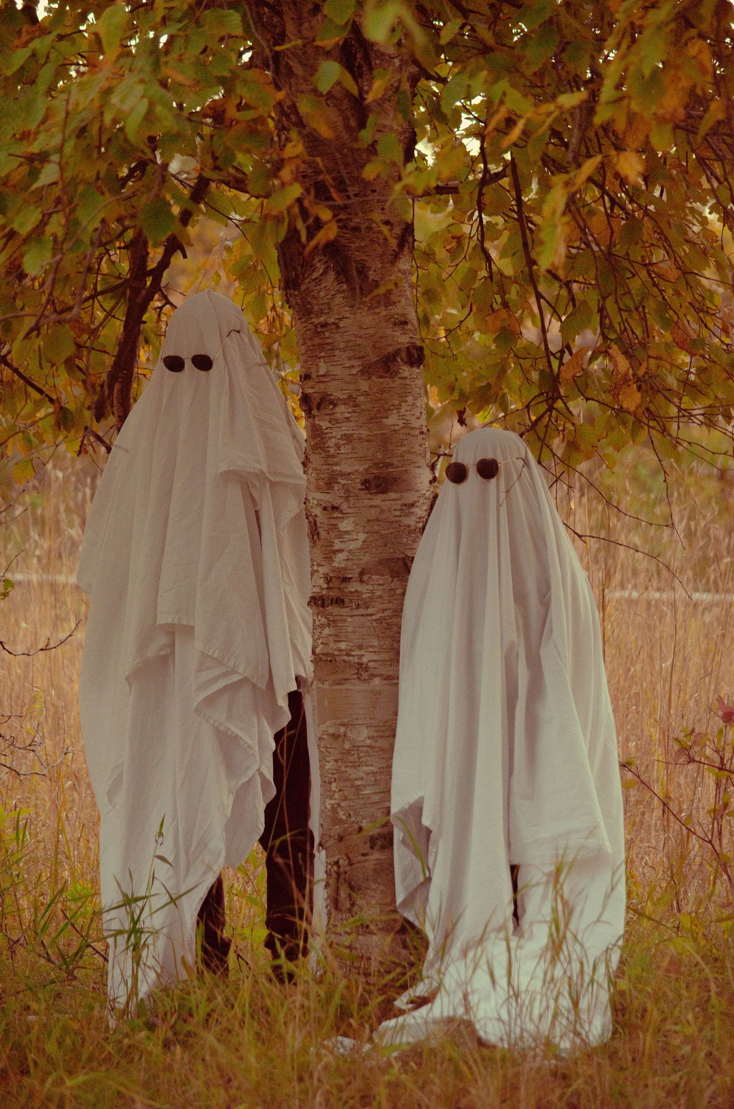 Two people dressed as ghosts in white sheets stand beside a tree in an autumn field for Halloween.