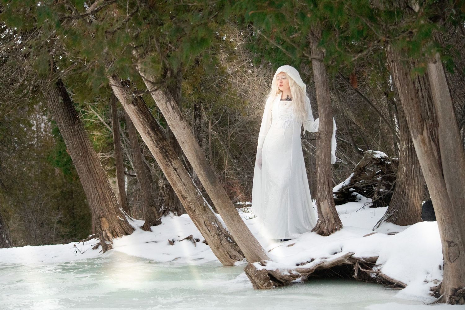 Woman in white bridal gown and veil standing among snow-covered trees in a winter forest landscape.