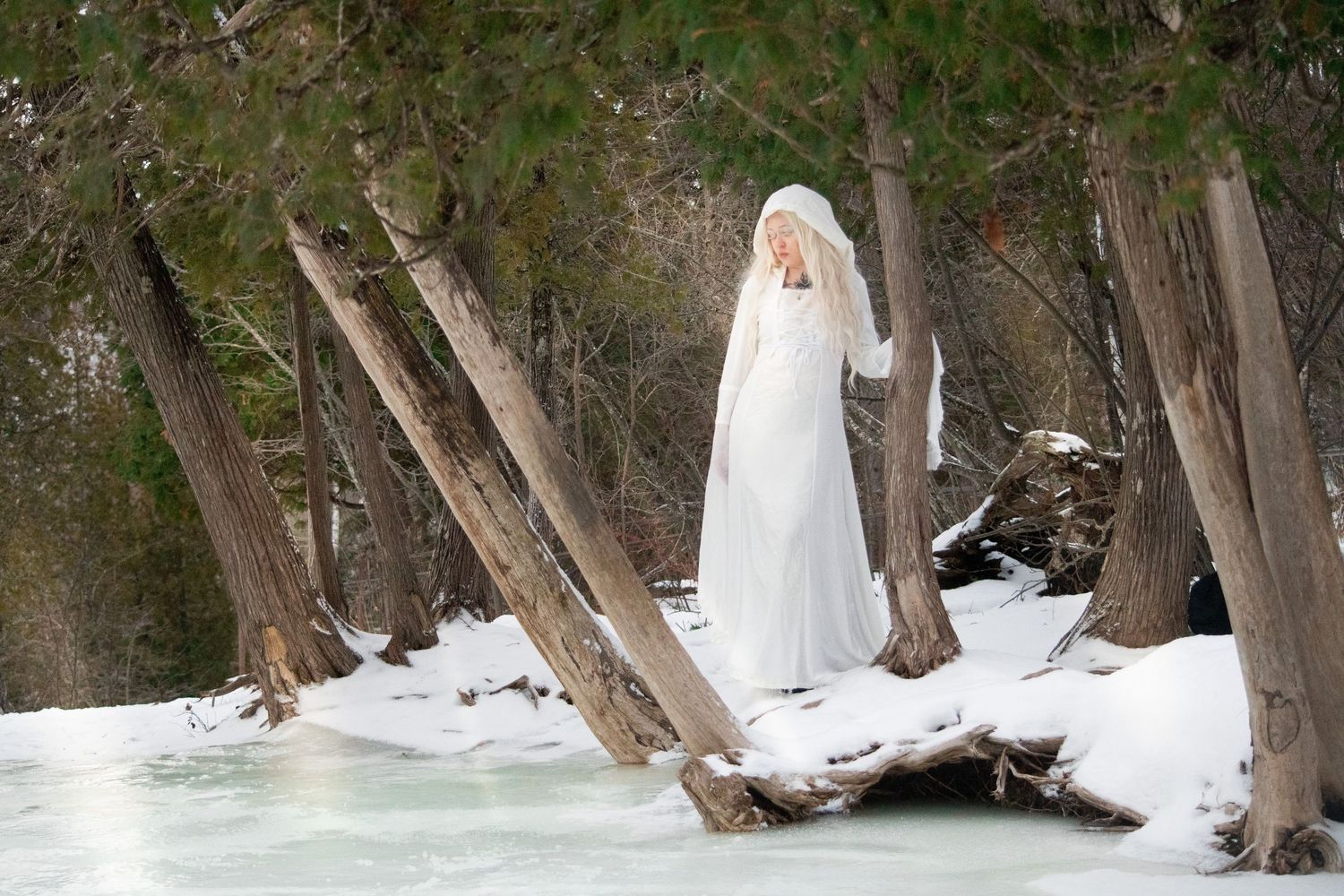 A woman in a flowing white gown and veil stands among snow-covered fallen trees beside a frozen river.